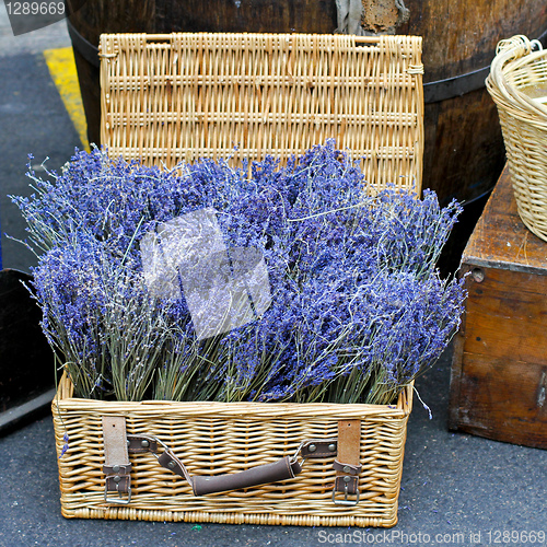 Image of Lavender basket