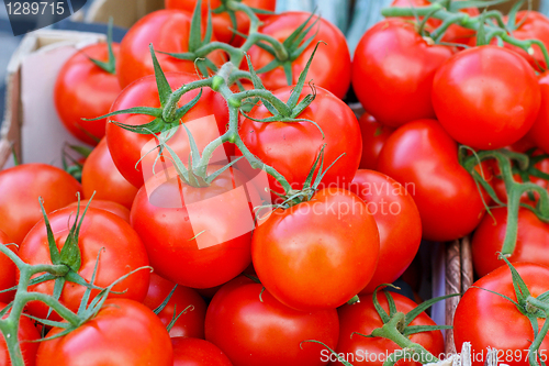 Image of Tomatoes