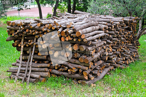 Image of Firewood bunch