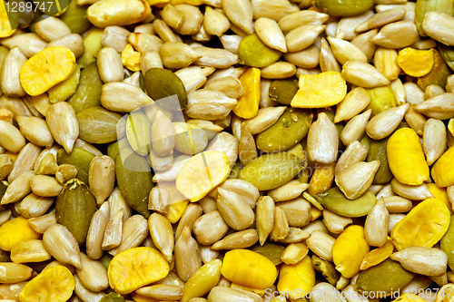 Image of Healthy seeds