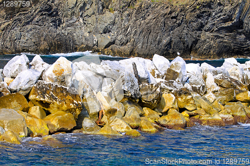 Image of Coastal defence