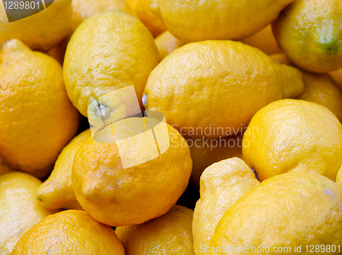 Image of Lemon