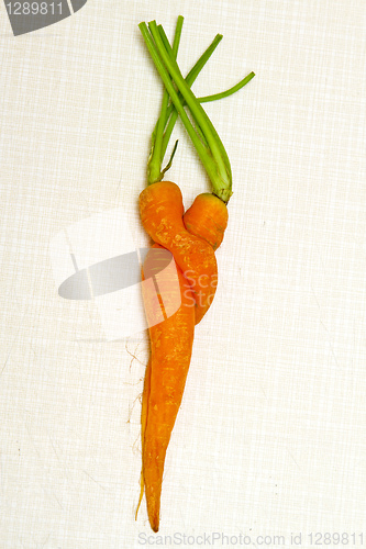 Image of Carrots couple