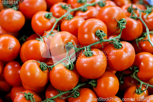 Image of Cherry tomatoes