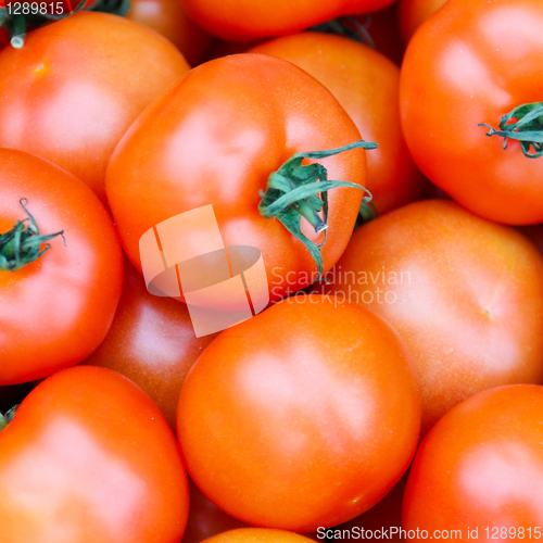 Image of Red tomato