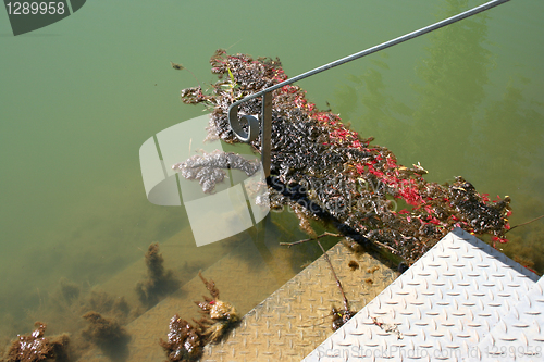 Image of Colorful Dirty Water