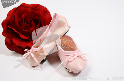 Image of Ballet Shoes and Rose