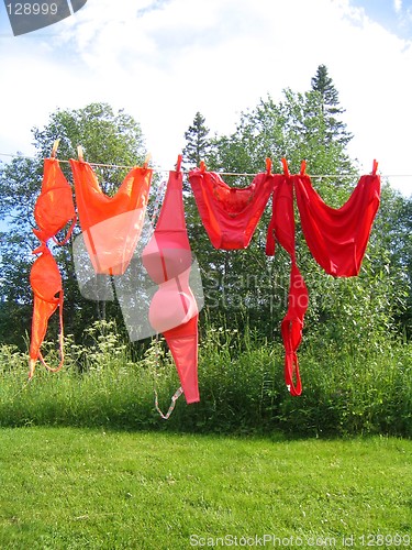 Image of Bikinis on clothesline