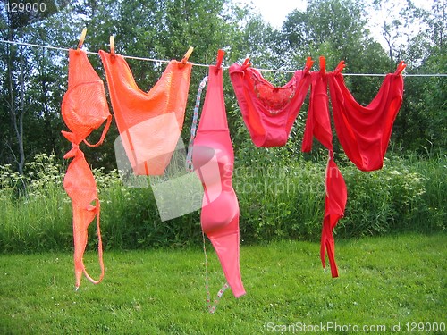 Image of Bikinis on clothesline