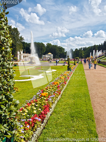 Image of Beautiful lawn and flowers in Peterhof