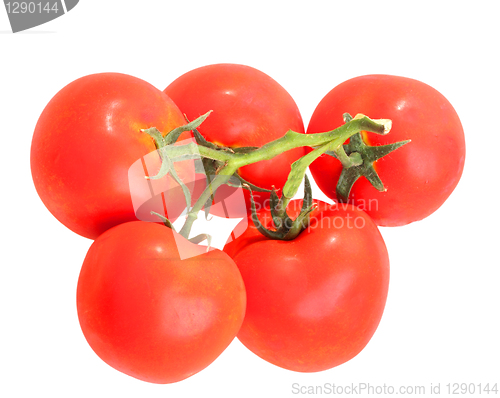 Image of Bunch with red tomatos