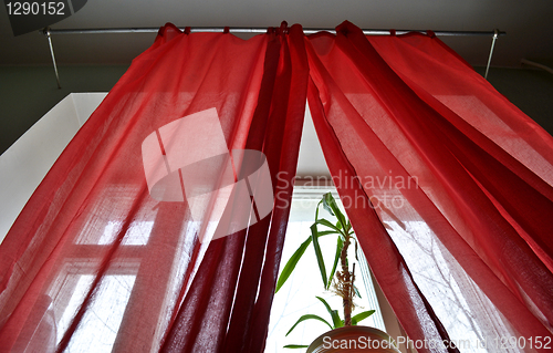 Image of curtains 