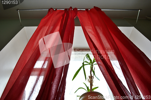 Image of curtains 