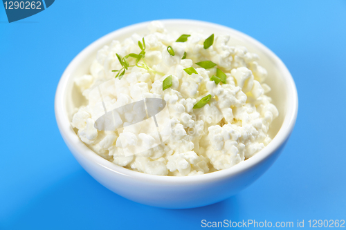 Image of cottage cheese