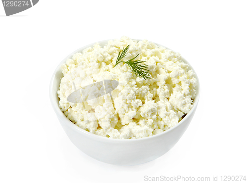 Image of cottage cheese