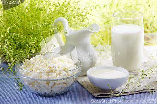 Image of fresh milk products