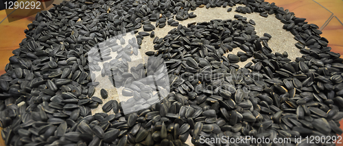 Image of sunflower seeds 