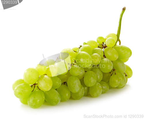 Image of fresh green grapes