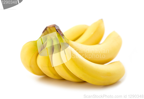 Image of bunch of bananas