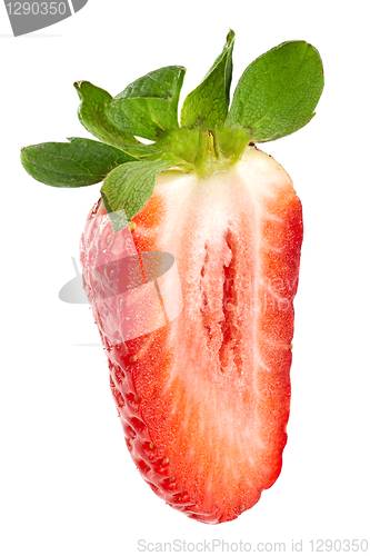 Image of strawberry macro