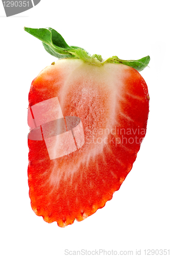 Image of strawberry macro