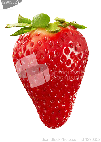 Image of strawberry macro