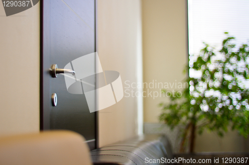 Image of Wenge door with a metal handle in the office close up
