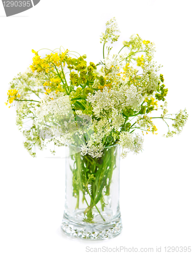 Image of wild summer flowers