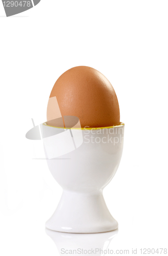 Image of brown egg