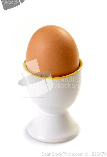 Image of brown egg