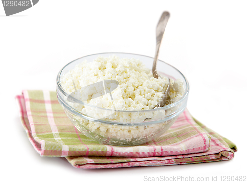 Image of fresh cottage cheese