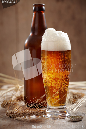 Image of glass of beer