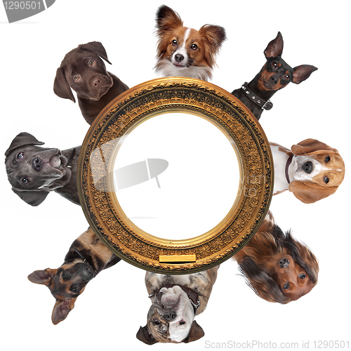 Image of a group of dog portraits around a round golden picture frame