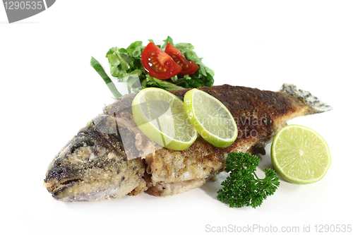 Image of trout miller