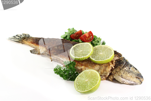 Image of trout miller