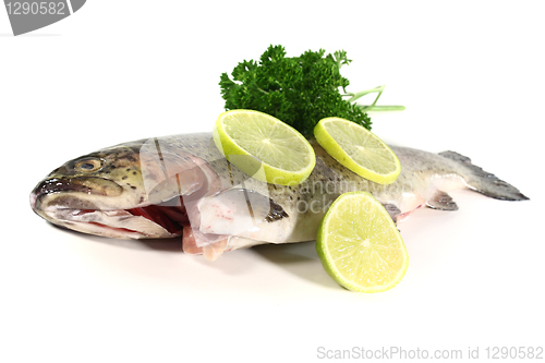 Image of Trout with parsley and lime