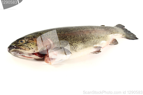 Image of Trout
