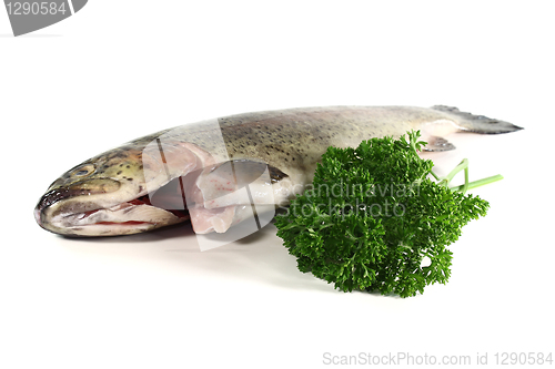 Image of Trout with parsley