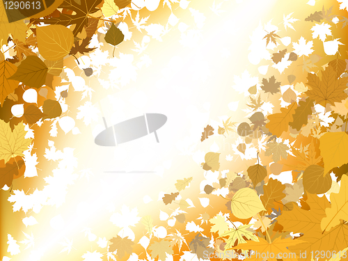 Image of Autumn light background. EPS 8