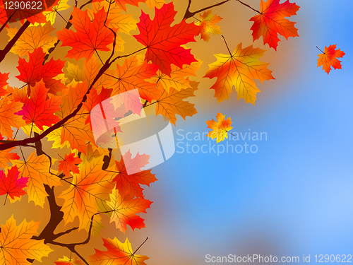 Image of Background made of autumn leaves. EPS 8