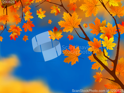 Image of Red and yellow leaves against blue sky. EPS 8