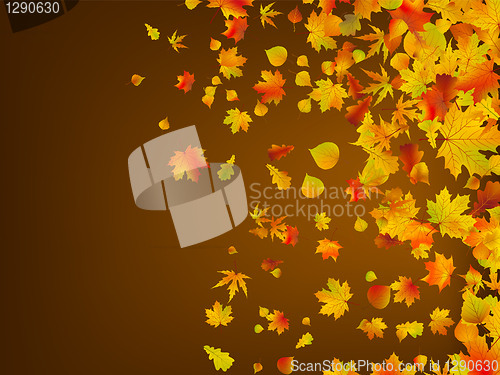 Image of Fallen autumn leaves background. EPS 8