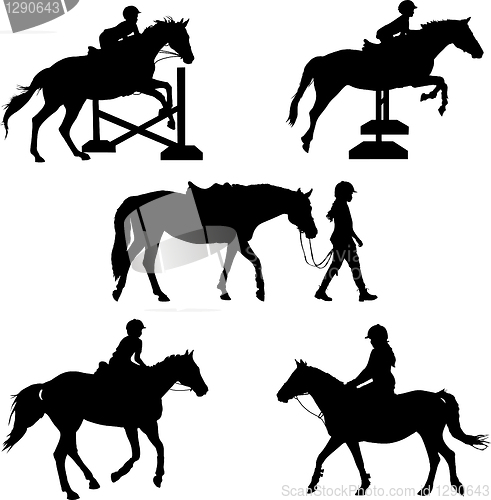 Image of Horse Silhouettes