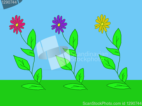 Image of tree flowers