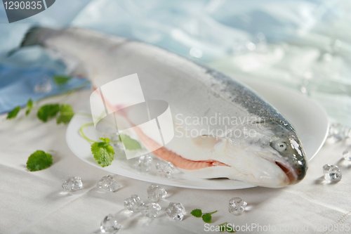 Image of fresh raw salmon