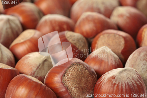 Image of hazelnuts