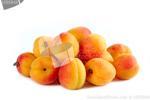 Image of fresh apricots