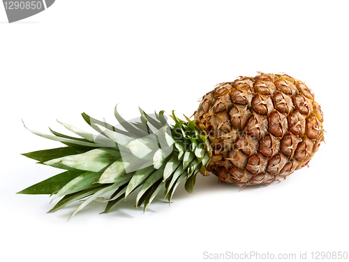 Image of fresh pineapple