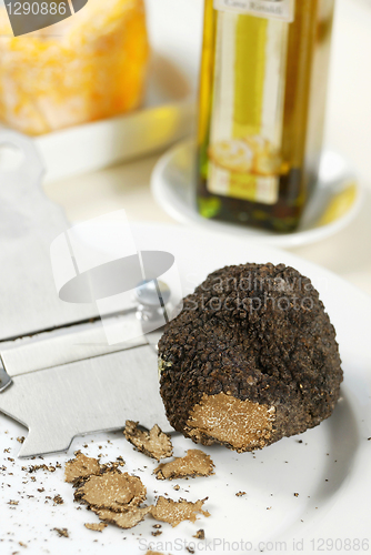 Image of black truffle