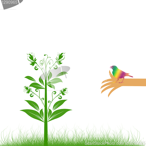 Image of Environmental concept